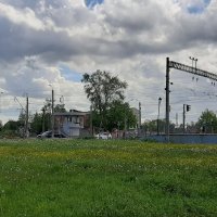 Стрельна. Последний день весны :: Наталья Герасимова