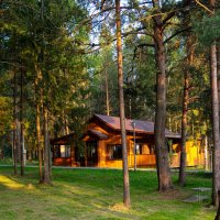 Прогулка по парку :: Светлана Мишенёва