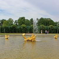 Неопределённый :: Владимир Соколов (svladmir)