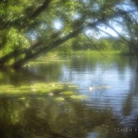 Летние грезы :: Сергей 