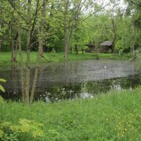 Стрельна. Орловский парк :: Наталья Герасимова