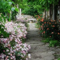 Буднично,но со вкусом :: Натали 