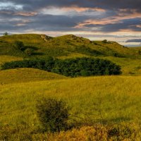 Летний вечер :: Игорь Сикорский