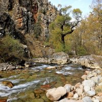 ПО НИЗАМ. :: Виктор Осипчук