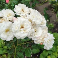 ,,, :: Сергей Тимоновский ,,, :: Сергей Тимоновский