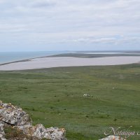 Природа Крыма :: Amazing Cosmea