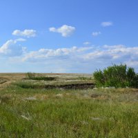 В степи. :: Виктор 