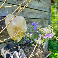 Дачный стиль. :: Галина Левина