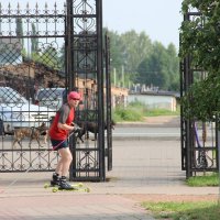 В парке. :: Венера Чуйкова