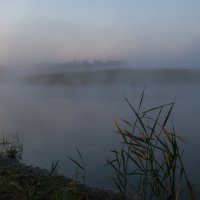 Июльские пейзажи: туманное утро. :: Игорь Викторов