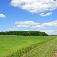 По дорогам июля... :: Андрей Заломленков