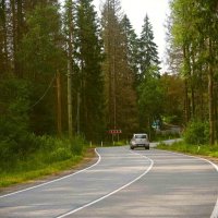 По дороге в Линдуловскую рощу :: Магомед . По дороге в Линдуловскую рощу :: Магомед .