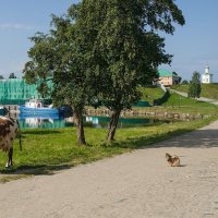 Изучение :: Олег Иванов