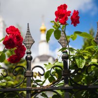 Алые розы на копьях римских центурионов... :: Nyusha .