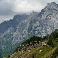 .... :: Сергей Адигамов