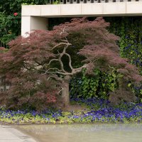 Прогулка в парке Галицкого :: Игорь Сикорский