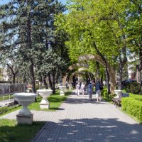 Парк "Цветник" :: Gen 