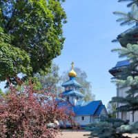 Рощино. :: Ольга 