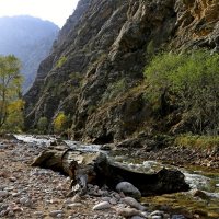 ПО НИЗАМ. :: Виктор Осипчук