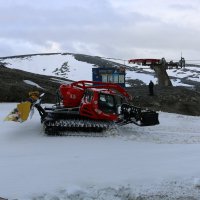 В начале лета :: Ольга 