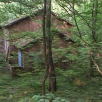 Дом в лесу. :: Александр Лисовский