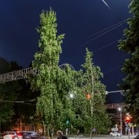 На прогулке :: Сергей Шатохин 