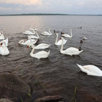 Себежское озеро :: skijumper Иванов