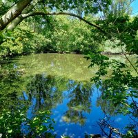 В ростовском зоопарке :: Нина Бутко В ростовском зоопарке :: Нина Бутко