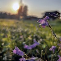 на закате :: Дмитрий Иванов