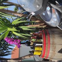 гостеприимство :: Светлана Баталий гостеприимство :: Светлана Баталий