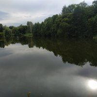 У нас ливня не было :: Андрей Лукьянов