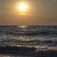 Вечерние купания :: Светлана Тихонина