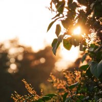 На закате... :: Руслан 