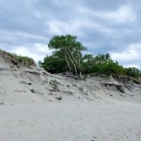 Балтийска коса :: Олег Денисов