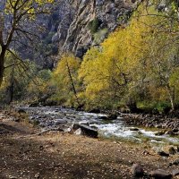 ПО НИЗАМ. :: Виктор Осипчук