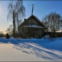 Тени на снегу :: **** vedin