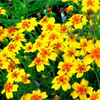 ЛЕТО :: Юрий Владимирович 34 ЛЕТО :: Юрий Владимирович 34