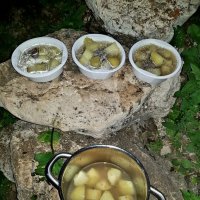 ПУТЕШЕСТВИЕ НА ЛАГОНАКИ :: Tata Wolf