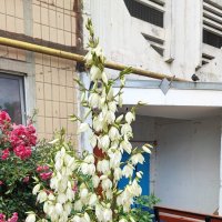 ,,, :: Сергей Тимоновский