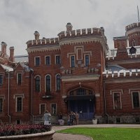 Рамонь :: Елена Шаламова