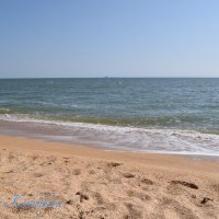 Природа Крыма :: Amazing Cosmea