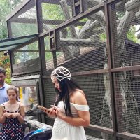 В парке Лога :: Татьяна Пальчикова