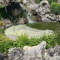 Пруд парк Лога :: Татьяна Пальчикова