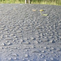 После дождя :: Валерий Пославский