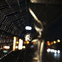 Находка :: Екатерина 