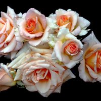 16 июля :: Михаил Бибичков 16 июля :: Михаил Бибичков