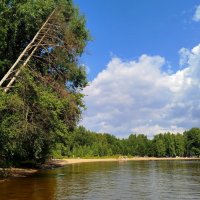 Природный пейзаж :: светлана льдокова