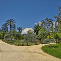 Эскурсия в Тель-Авив11,07,2025г :: ujgcvbif 