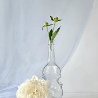 Вальс "Мендельсона" :: Галина Левина