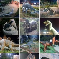 По моим фотографиям :: Светлана Хращевская По моим фотографиям :: Светлана Хращевская